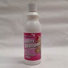Anti Lice Shampoo