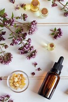 Bay Leaf Shampoos