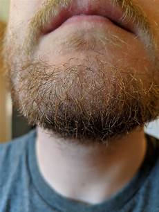 Beard Wash