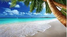 Bliss Sunscreen