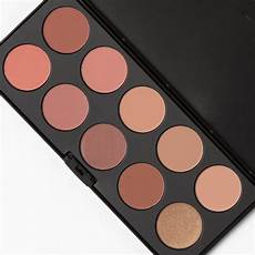 Blush Brush Set