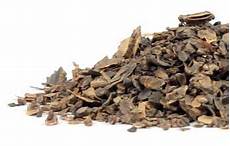 Carob Shampoos