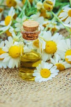 Chamomile Extract Shampoo