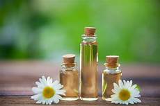 Chamomile Extract Shampoo