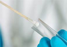 Cotton Bud New
