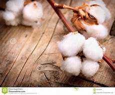 Cotton Buds Wooden