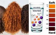 Dry Hair Shampoo