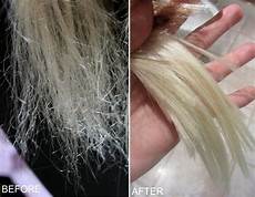 Egg Shampoo
