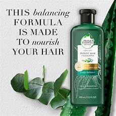 Eucalyptus Shampoos