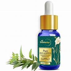 Eucalyptus Shampoos