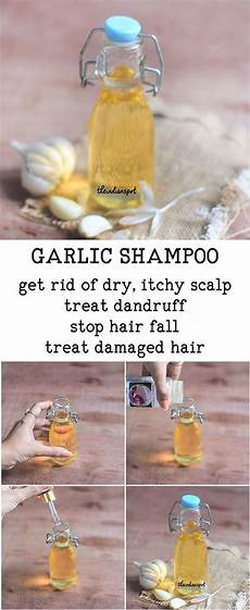 Garlic Carob Shampoos