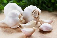 Garlic Shampoo