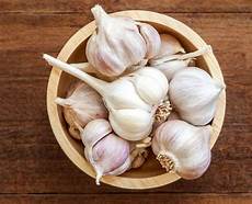 Garlic Shampoos