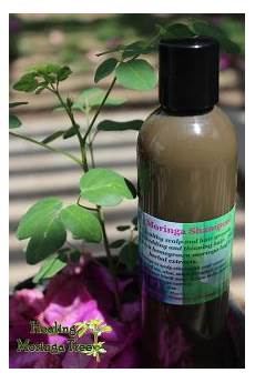 Herbal Laurel Shampoo