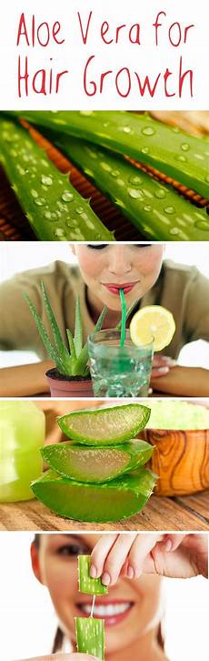 Homemade Hair Moisturizer