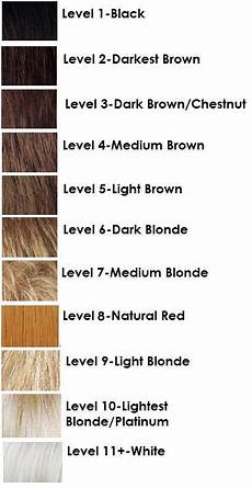 Natural Hair Bleach