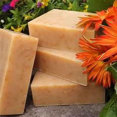Natural Herbal Shampoo