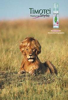 Natural Shampoo