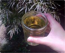 Nettle Shampoo
