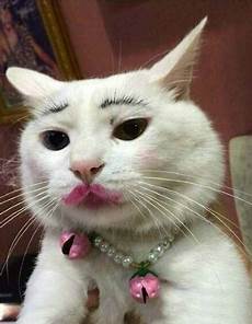 No Blush Makeup
