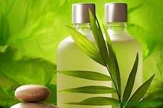 Organic Shampoo