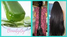 Shampoo Aloe Vera