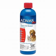 Shampoo for Cats
