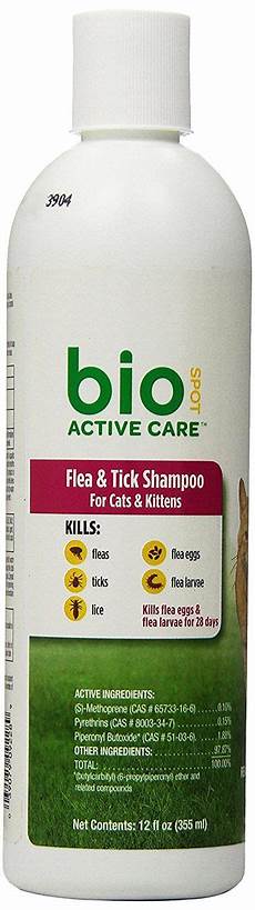 Shampoo for Cats