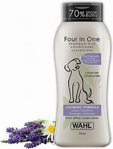Shampoo Scent