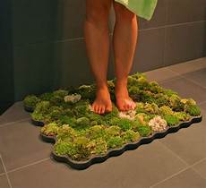 Shower Foam