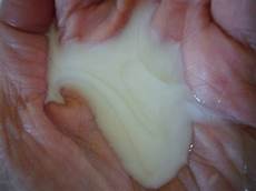 Tsubaki Shampoo