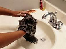 Wig Shampoo
