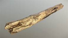 Wood Stick Adult